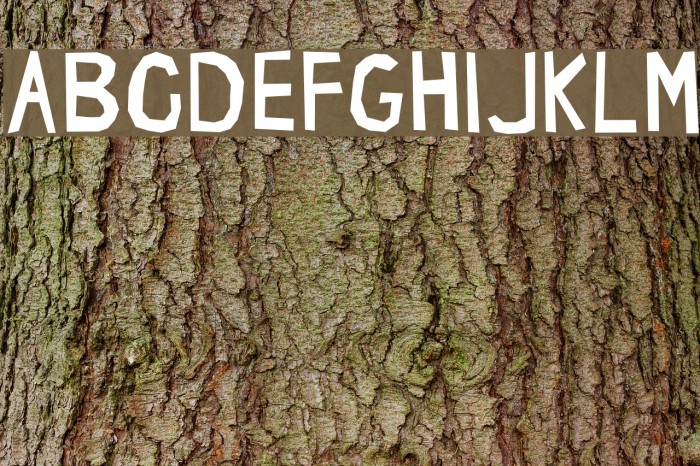 Brynda1231 normal Font examples
