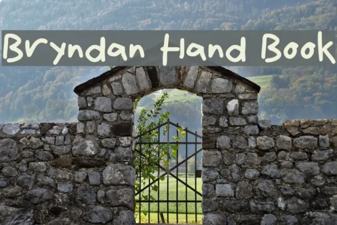 Bryndan Hand Book Example 2