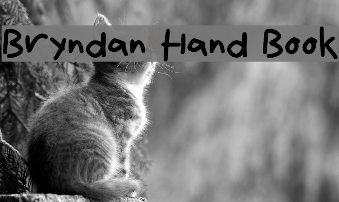Bryndan Hand Book Font examples