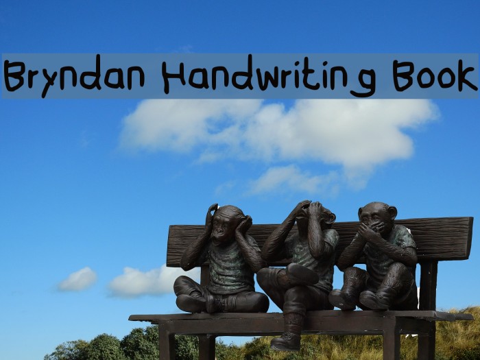 Bryndan Handwriting Book Font examples
