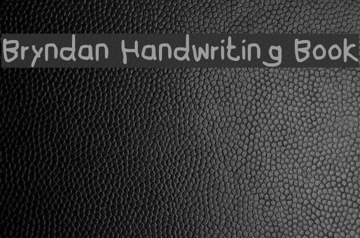 Bryndan Handwriting Book Font examples