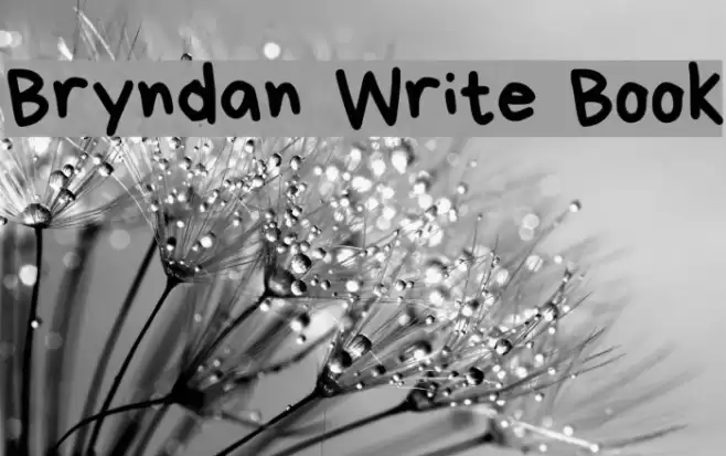 Bryndan Write Book Font examples