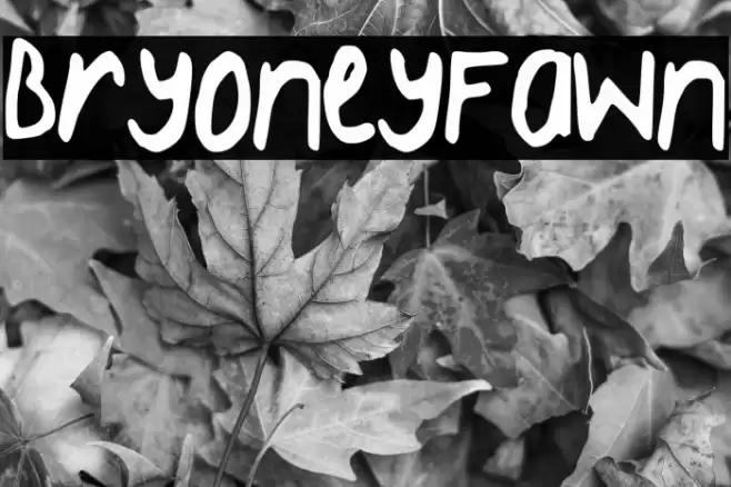 BryoneyFawn フォント examples