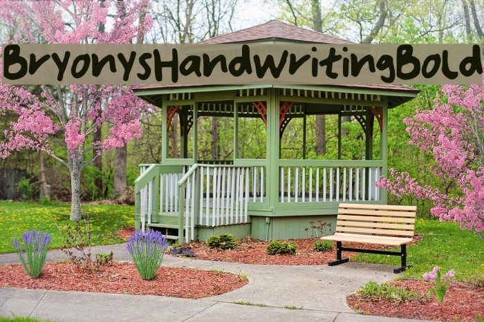 Bryonys_Handwriting_Bold Example 2