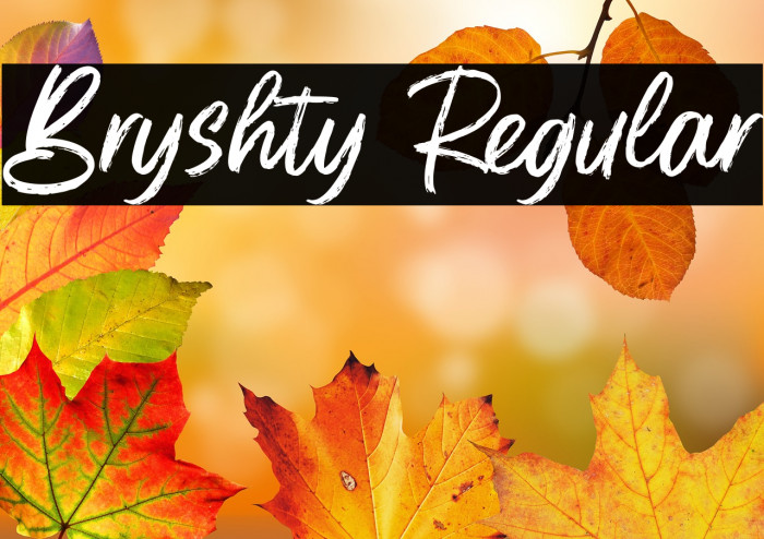 Bryshty Regular Example 3