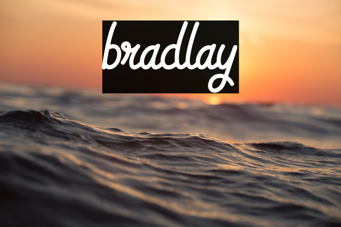 bradlay Example 1