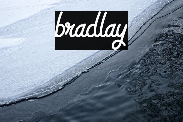 bradlay Example 2