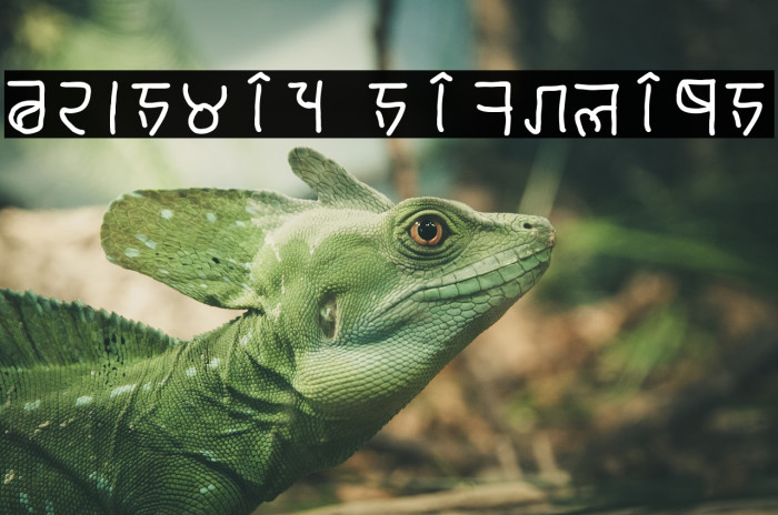 brahmic hinglish フォント examples