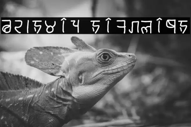 brahmic hinglish Font examples