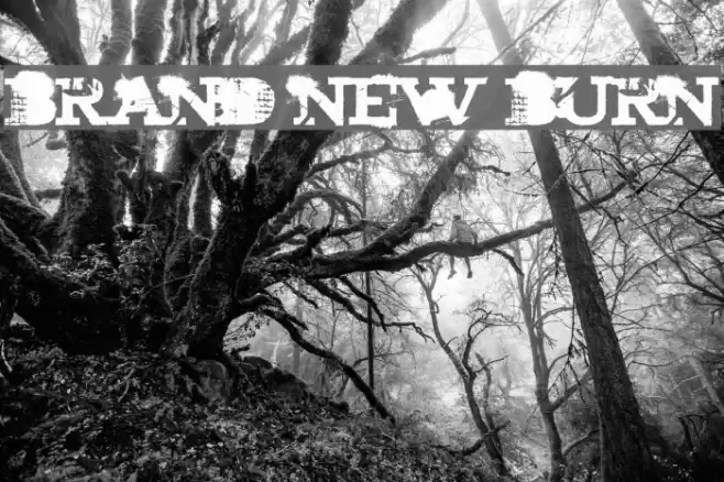 brand new burn Fuentes examples