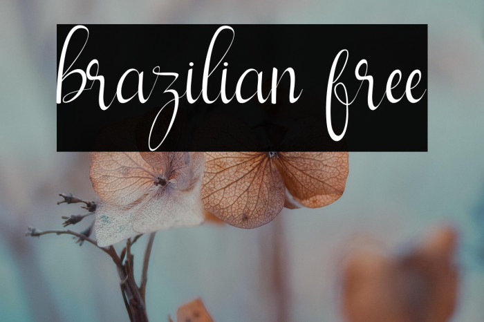 brazilian free Example 1