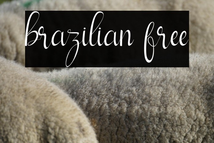 brazilian free Example 2