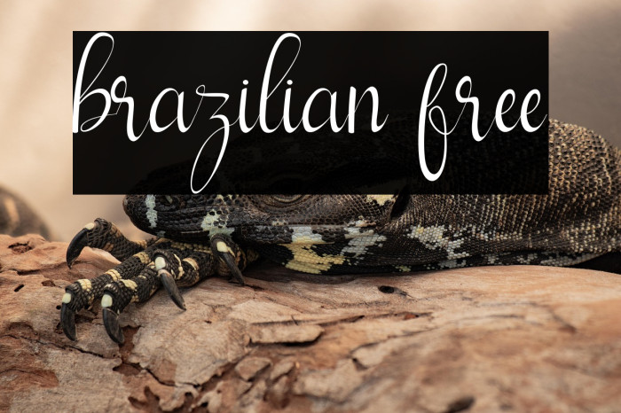 brazilian free Example 3