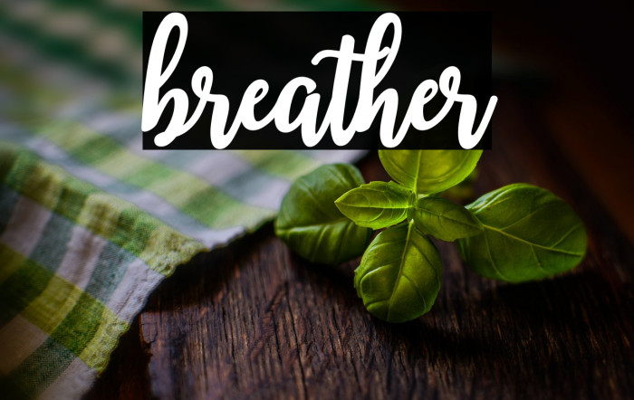 breather Example 2