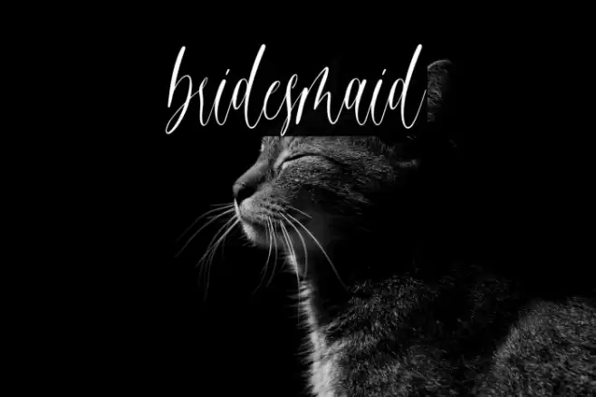 bridesmaid Font examples