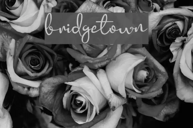 bridgetown Font examples