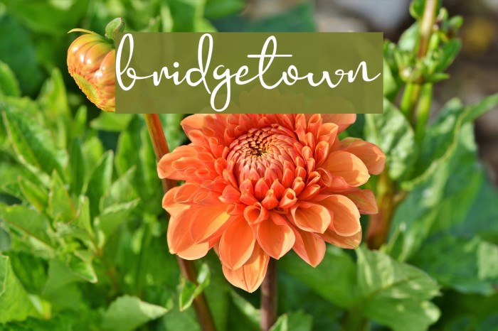 bridgetown Font examples