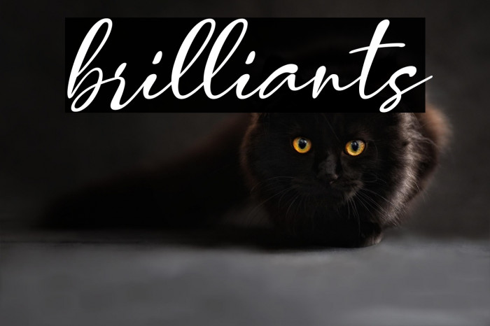 brilliants Example 1