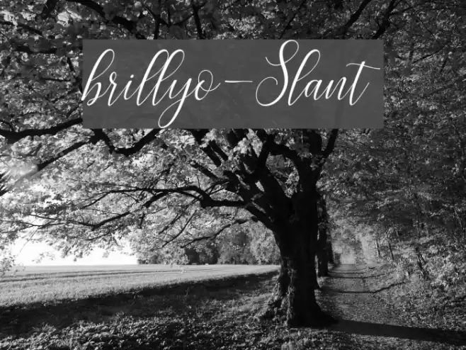 brillyo-Slant Font examples