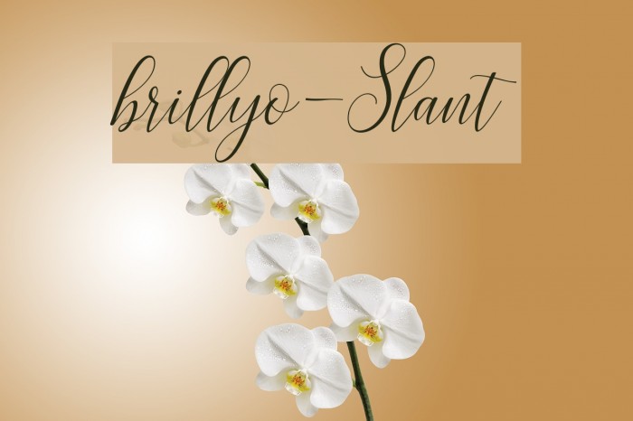 brillyo-Slant Font examples