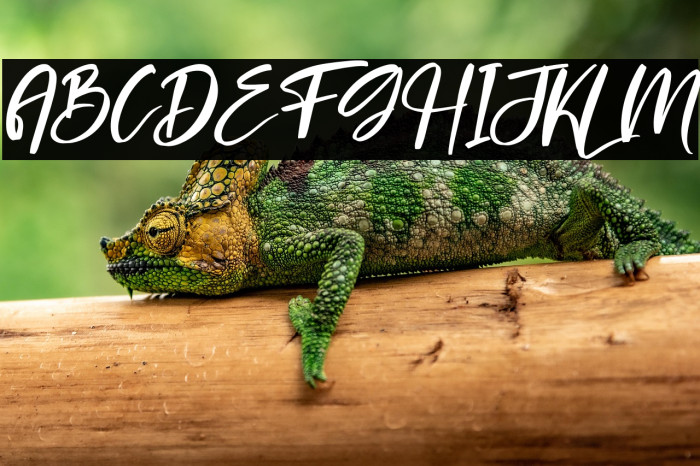 britany Italic Example 2