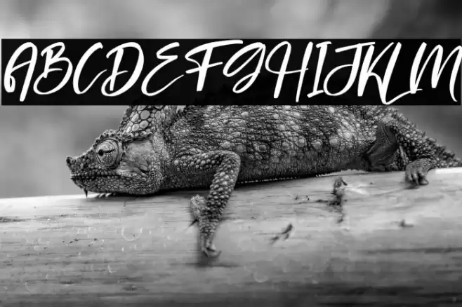 britany Italic Font examples