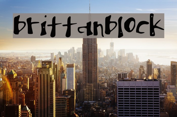 brittanblock Example 1