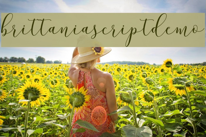 brittaniascriptdemo Font examples