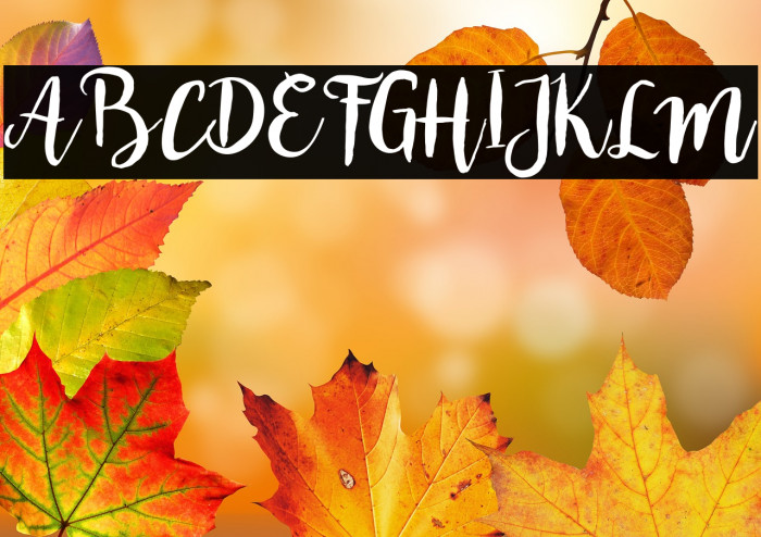 bromello Regular Example 2