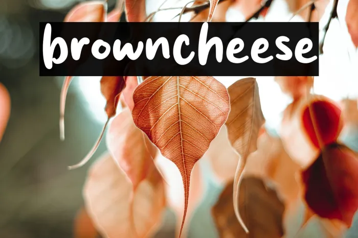 brown cheese Example 1