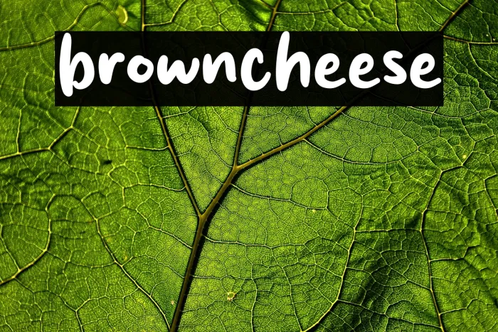 brown cheese Example 2