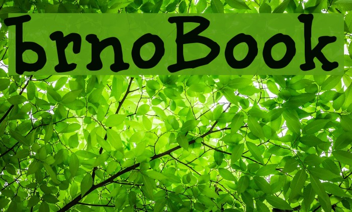 brunoBook Fonte examples