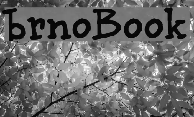brunoBook Fonte examples