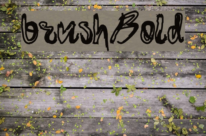 brush-Bold Шрифта examples