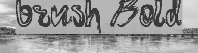 brush Bold Font examples