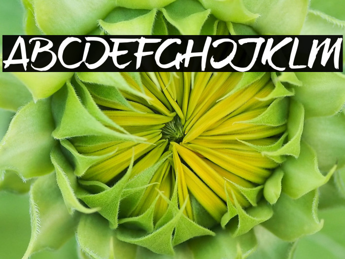 brush-tipTerrence Example 1