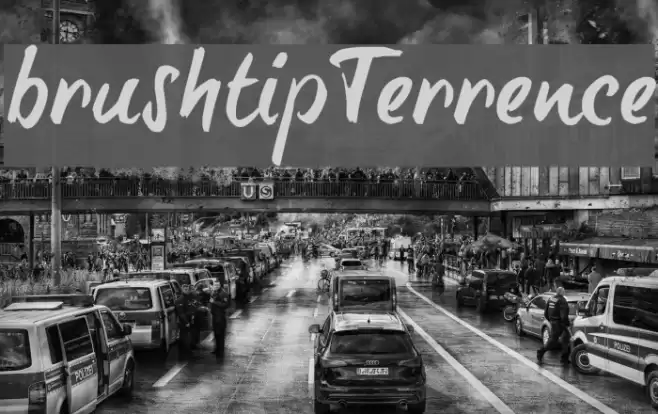 brush-tipTerrence Font examples