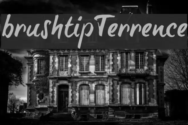 brush-tipTerrence Font examples