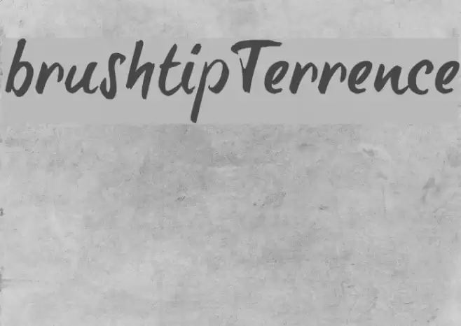 brush-tipTerrence Font examples