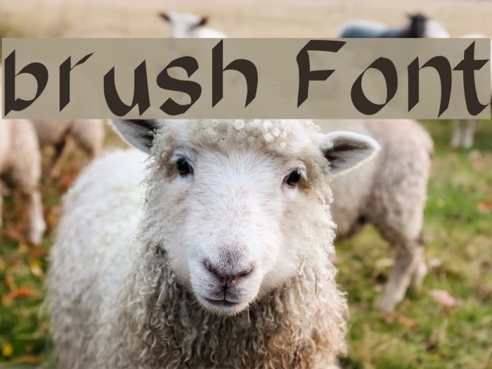 brush Font examples