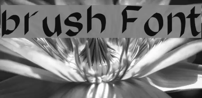 brush Font examples