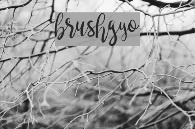 brushgyo Font examples