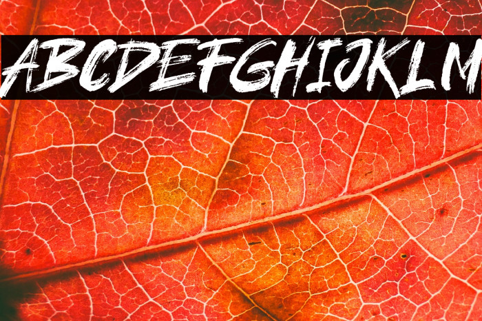 brushield Italic Example 2