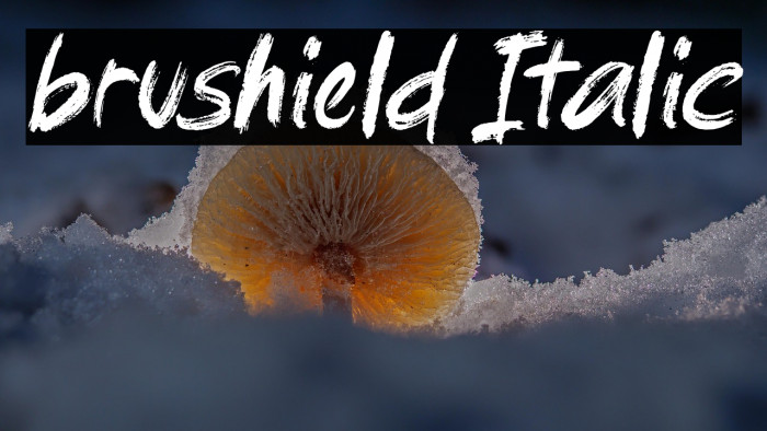 brushield Italic Example 1