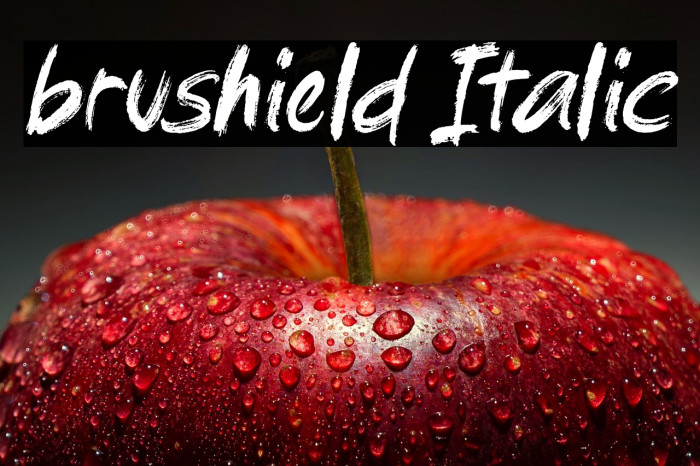 brushield Italic Example 2