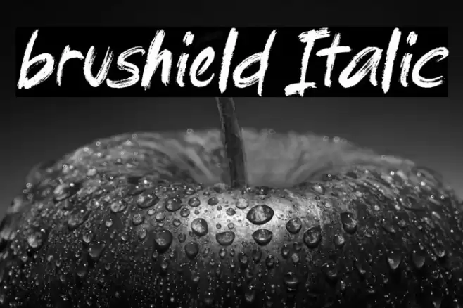 brushield Italic Font examples