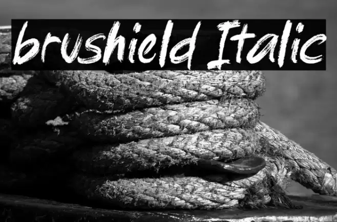 brushield Italic Font examples