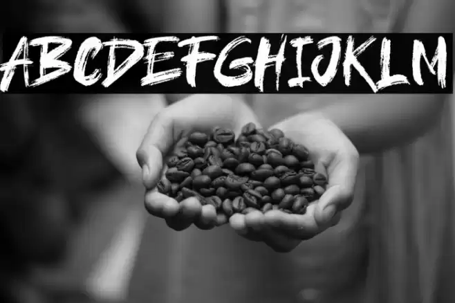 brushield Font examples