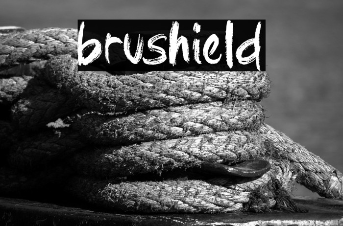 brushield Example 1