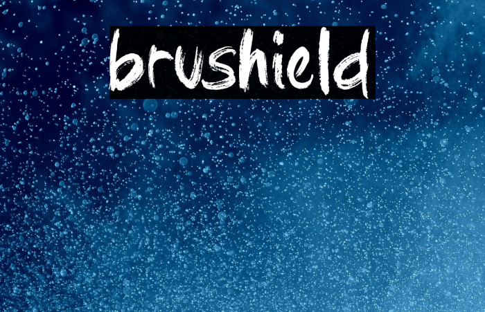 brushield Example 2